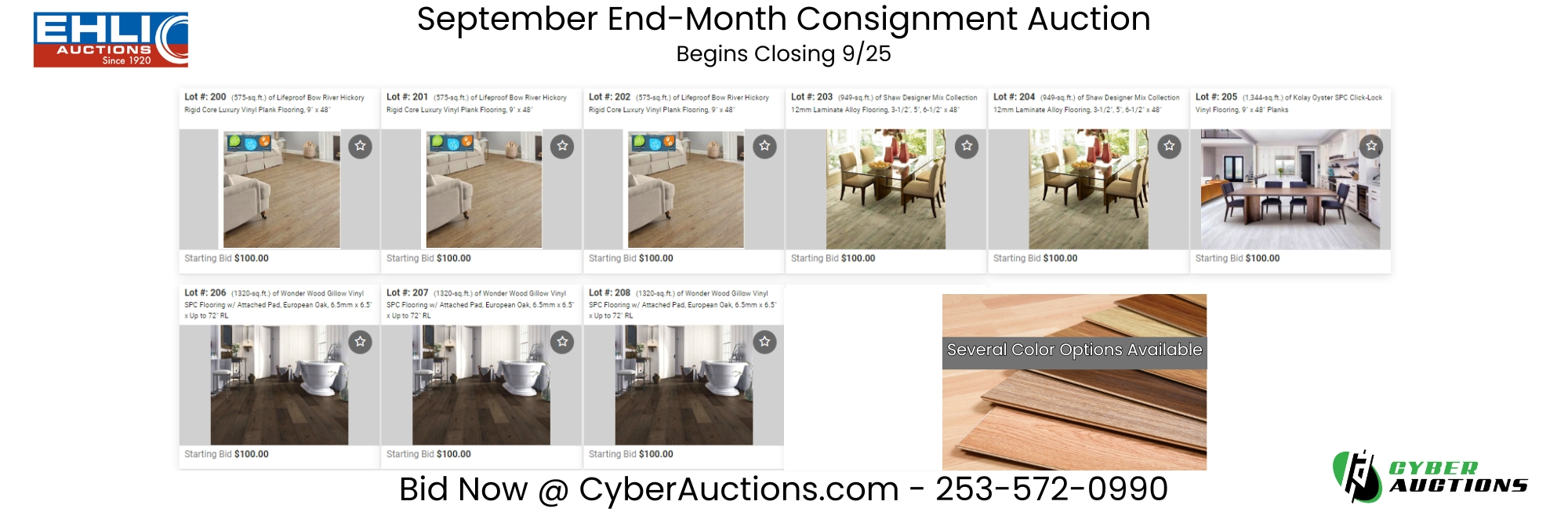 September End Month Consignment Auction (3)